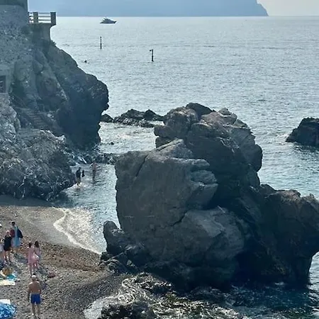 Harbour House Citra 010025-lt-3472 *